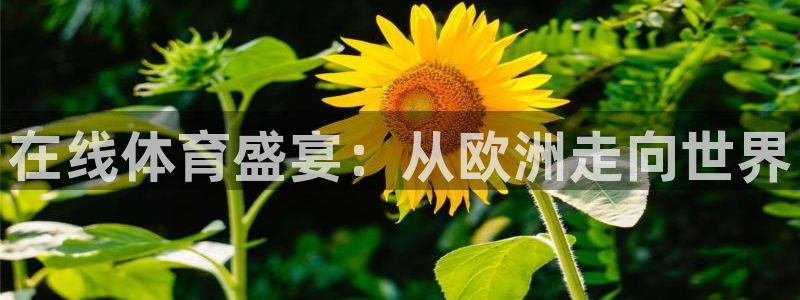 在线体育盛宴：从欧洲走向世界