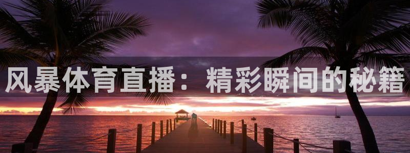 风暴体育直播：精彩瞬间的秘籍