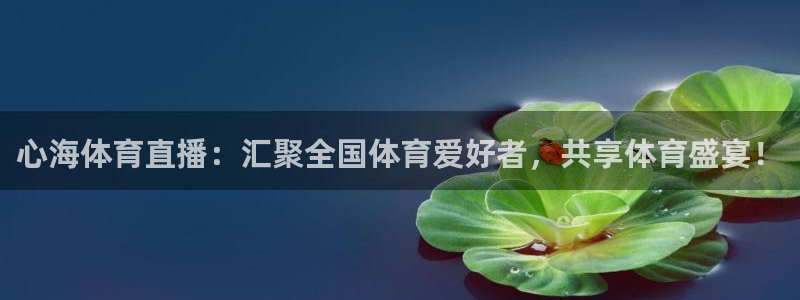 心海体育直播：汇聚全国体育爱好者，共享体育盛宴！