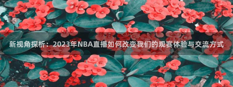新视角探析：2023年NBA直播如何改变我们的观赛体验与交流方式